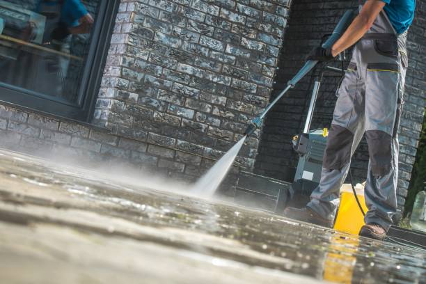 Best Building Exterior Washing  in Tierra Verde, FL